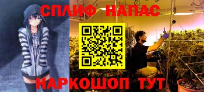 стаф Моздок