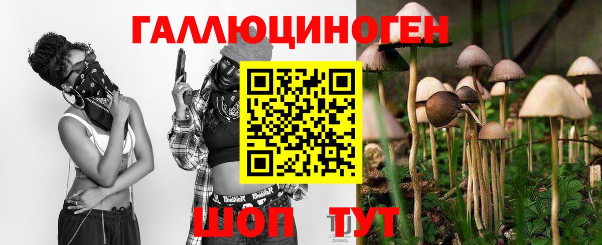 Псилоцибиновые грибы GOLDEN TEACHER  Вход с VPN  Черняховск 