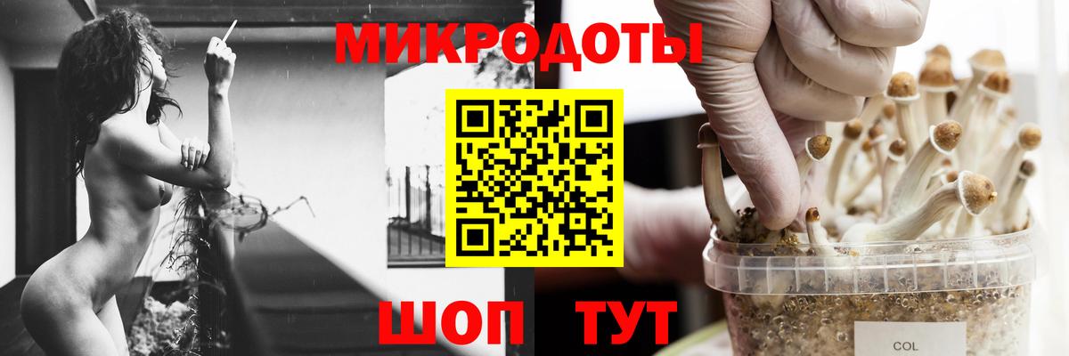 Псилоцибиновые грибы MAGIC MUSHROOMS Черняховск